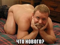  что нового?