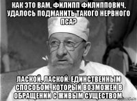 как это вам, филипп филиппович, удалось подманить такого нервного пса? лаской, лаской. единственным способом, который возможен в обращении с живым существом.