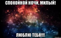 спокойной ночи, милый! люблю тебя!!!