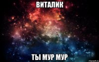 виталик ты мур мур