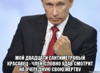  мой двадцати сантиметровый красавец - член, словно удав смотрит на очередную свою жертву