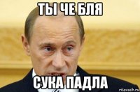 ты че бля сука падла