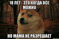 18 лет - это когда все можно но мама не разрешает