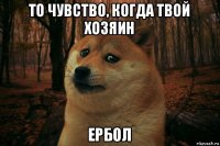 то чувство, когда твой хозяин ербол