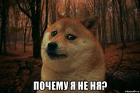  почему я не ня?