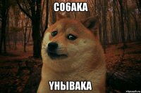 co6aka yhыbaka