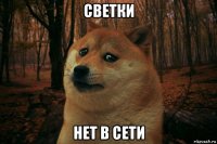 светки нет в сети