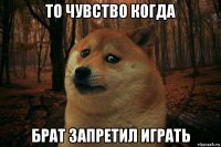 то чувство когда брат запретил играть