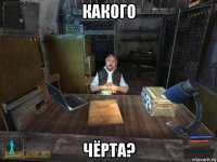 какого чёрта?