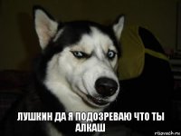 лушкин да я подозреваю что ты алкаш