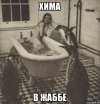 хима в жаббе