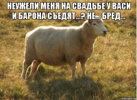 неужели меня на свадьбе у васи и барона съедят...? не... бред... 