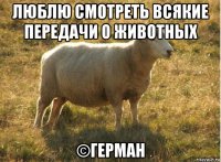 люблю смотреть всякие передачи о животных ©герман