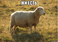 жи есть 