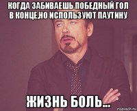 когда забиваешь победный гол в конце,но используют паутину жизнь боль...