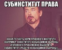 субинститут права какая-то часть норм правового института (например, в институте необходимой обороны уголовного права можно выделить субинститут средств необходимой обороны).