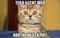 тебя бесит моя аватарка что ли?