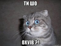 ти шо охуїв ?!