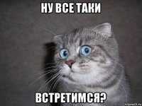 ну все таки встретимся?