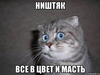 ништяк все в цвет и масть