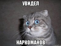 увидел наркоманов