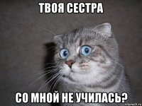 твоя сестра со мной не училась?