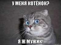 у меня котёнок? я ж мужик!