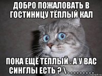 добро пожаловать в гостиницу тёплый кал пока ещё теплый . а у вас синглы есть ? \ . . . . . . . . .