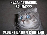 куда?а главное зачем??? уходит вадим с катей!!