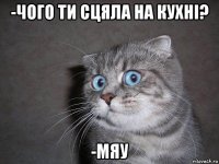 -чого ти сцяла на кухні? -мяу