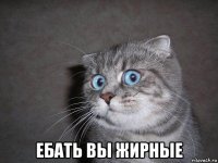  ебать вы жирные