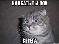 ну ибать ты лох серега