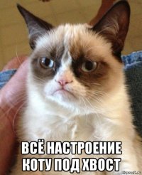  всё настроение коту под хвост