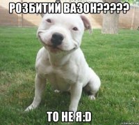 розбитий вазон????? то не я:d