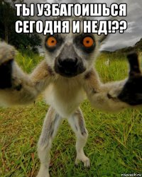 ты узбагоишься сегодня и нед!?? 