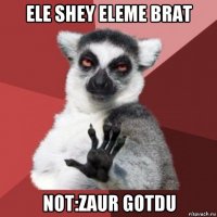 ele shey eleme brat not:zaur gotdu