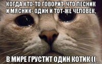 когда кто-то говорит, что лесник и мясник- один и тот-же человек, в мире грустит один котик ((