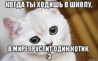 когда ты ходишь в школу, в мире грустит один котик. :3