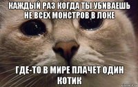 каждый раз когда ты убиваешь не всех монстров в локе где-то в мире плачет один котик