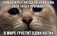 каждый раз, когда ты убиваешь кого-то без причины, в мире грустит один котик