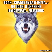 волк - слабее льва и тигра...- но волк, в цирке не выступает... мем волк 