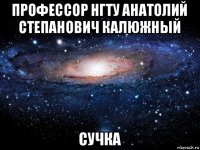 профессор нгту анатолий степанович калюжный сучка