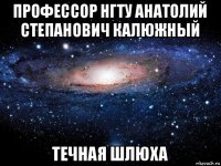 профессор нгту анатолий степанович калюжный течная шлюха