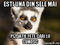 esti una din sele mai pizdatie fete cari lu cunosc