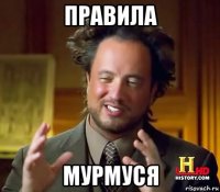 правила мурмуся