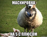 маскировка на 5 с плюсом