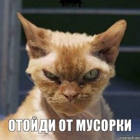  отойди от мусорки