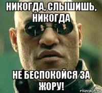 никогда, слышишь, никогда не беспокойся за жору!