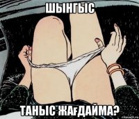 шынгыс таныс жағдайма?