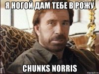 я ногой дам тебе в рожу chunks norris